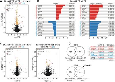 Integrative Brain Transcriptome Analysis Reveals Region-Specific and Broad Molecular Changes in Shank3-Overexpressing Mice